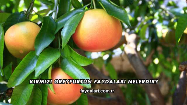 Kırmızı Greyfurtun Faydaları Nelerdir?