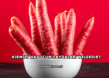 Kırmızı Havucun Faydaları Nelerdir?