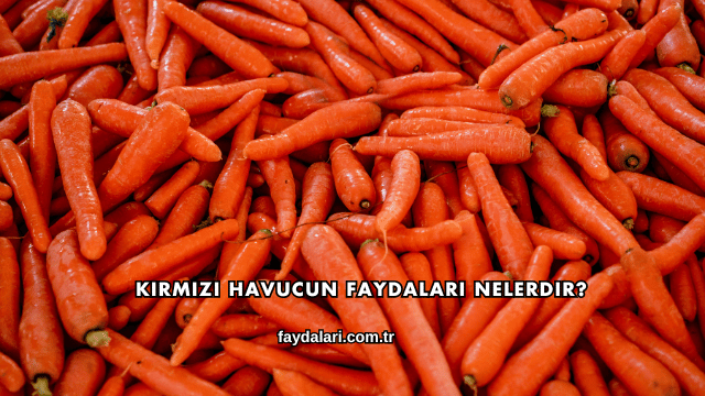 Kırmızı Havucun Faydaları Nelerdir?