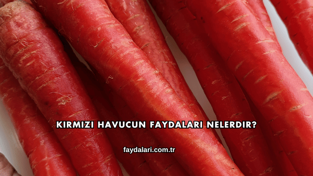 Kırmızı Havucun Faydaları Nelerdir?