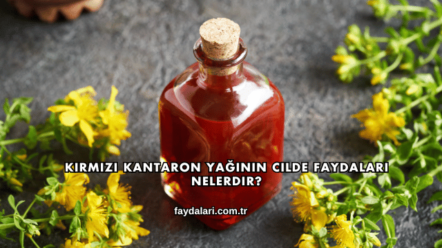 Kırmızı Kantaron Yağının Cilde Faydaları Nelerdir?