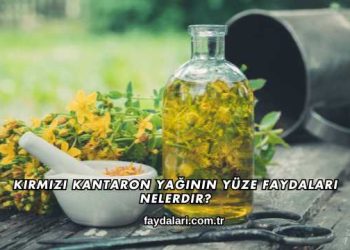 Kırmızı Kantaron Yağının Yüze Faydaları Nelerdir?