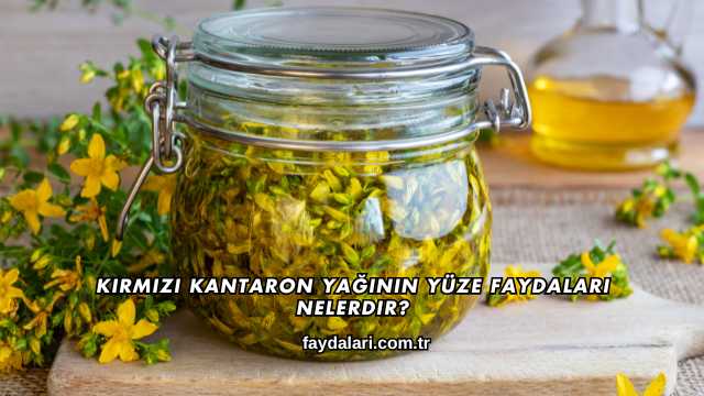 Kırmızı Kantaron Yağının Yüze Faydaları Nelerdir?