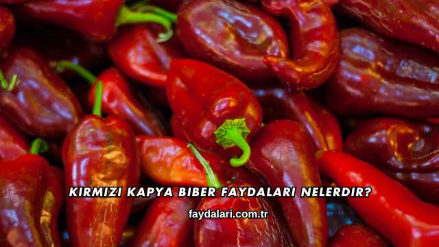 Kırmızı Kapya Biber Faydaları Nelerdir?