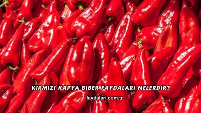 Kırmızı Kapya Biber Faydaları Nelerdir?
