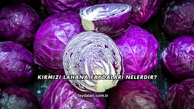 Kırmızı Lahana Faydaları Nelerdir?