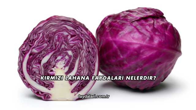 Kırmızı Lahana Faydaları Nelerdir?