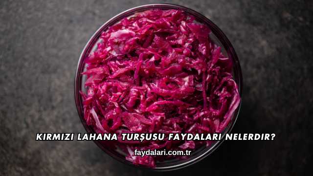 Kırmızı Lahana Turşusu Faydaları Nelerdir?