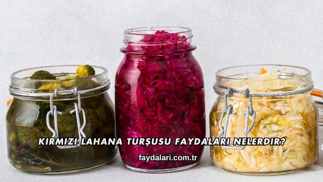 Kırmızı Lahana Turşusu Faydaları Nelerdir?