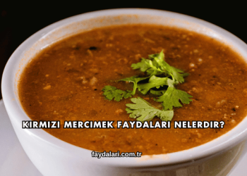 Kırmızı Mercimek Faydaları Nelerdir?