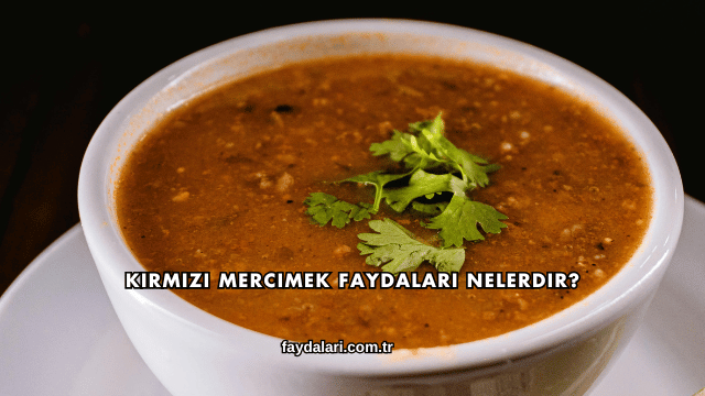 Kırmızı Mercimek Faydaları Nelerdir?