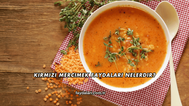 Kırmızı Mercimek Faydaları Nelerdir?