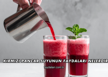 Kırmızı Pancar Suyunun Faydaları Nelerdir?