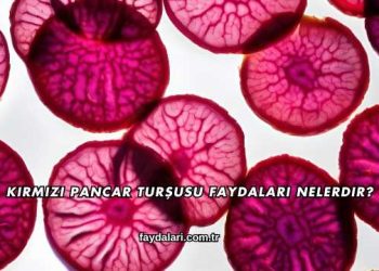 Kırmızı Pancar Turşusu Faydaları Nelerdir?