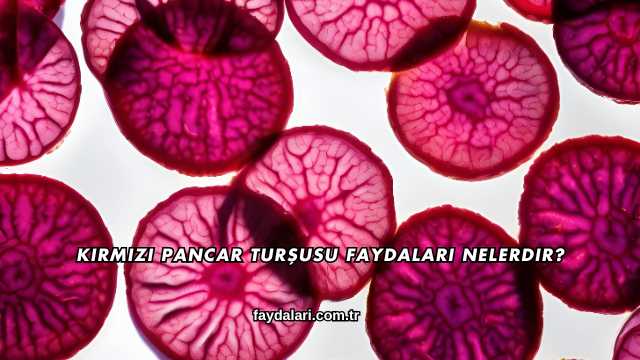 Kırmızı Pancar Turşusu Faydaları Nelerdir?