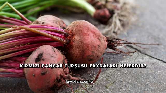 Kırmızı Pancar Turşusu Faydaları Nelerdir?