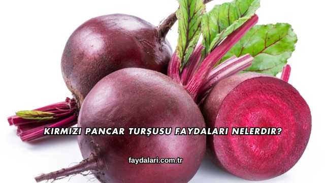 Kırmızı Pancar Turşusu Faydaları Nelerdir?