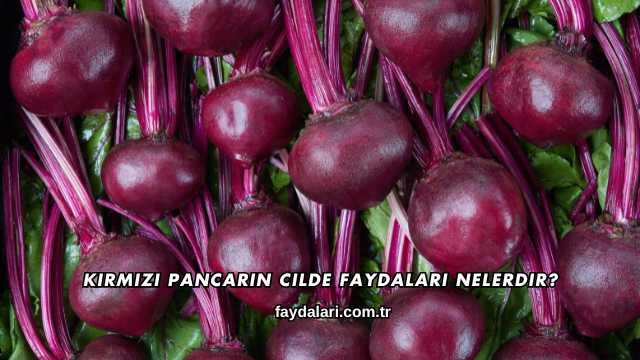 Kırmızı Pancarın Cilde Faydaları Nelerdir?