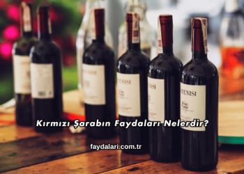Kırmızı Şarabın Faydaları Nelerdir?