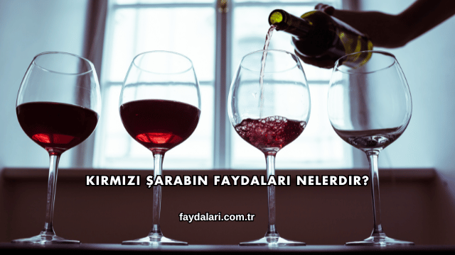 Kırmızı Şarabın Faydaları Nelerdir?