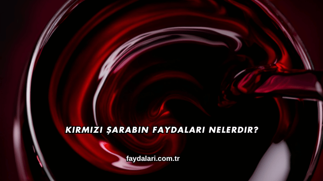 Kırmızı Şarabın Faydaları Nelerdir?