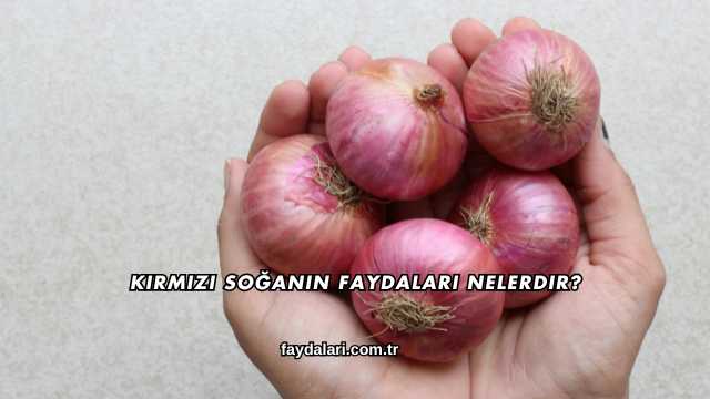 Kırmızı Soğanın Faydaları Nelerdir?