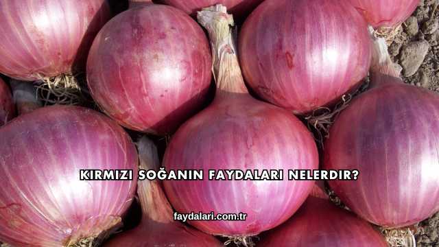 Kırmızı Soğanın Faydaları Nelerdir?