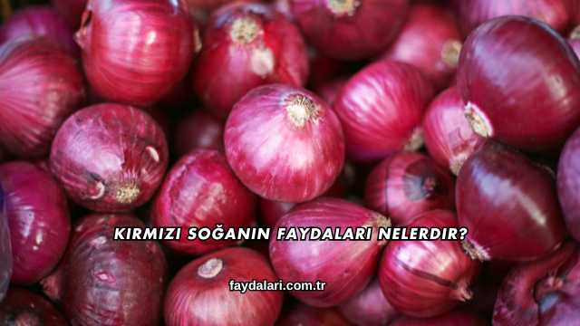 Kırmızı Soğanın Faydaları Nelerdir?
