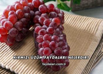 Kırmızı Üzüm Faydaları Nelerdir?