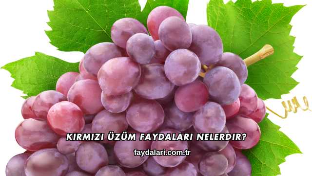 Kırmızı Üzüm Faydaları Nelerdir?