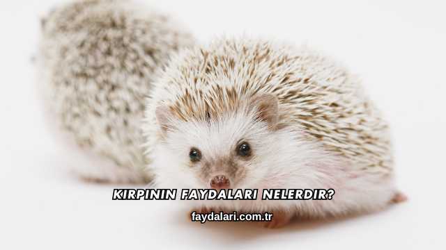 Kirpinin Faydaları Nelerdir?