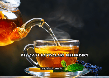 Kış Çayı Faydaları Nelerdir?