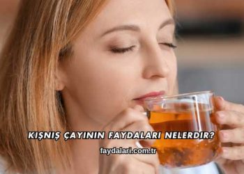 Kişniş Çayının Faydaları Nelerdir?