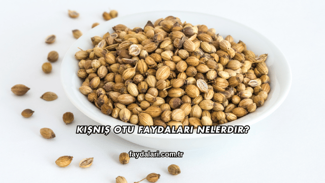 Kişniş Otu Faydaları Nelerdir?