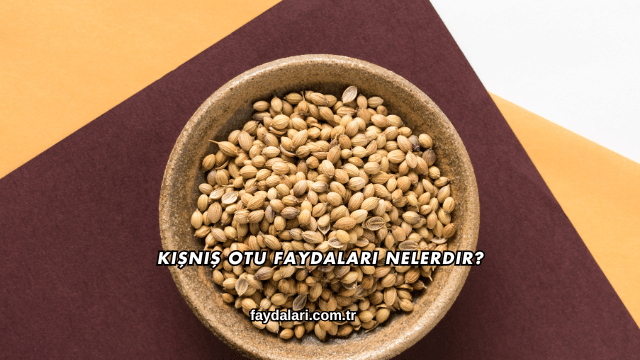 Kişniş Otu Faydaları Nelerdir?