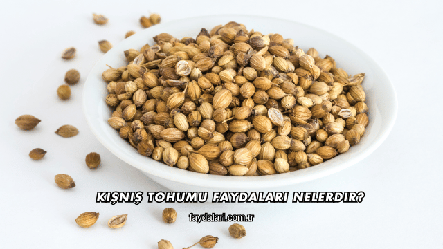 Kişniş Tohumu Faydaları Nelerdir?