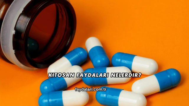 Kitosan Faydaları Nelerdir?