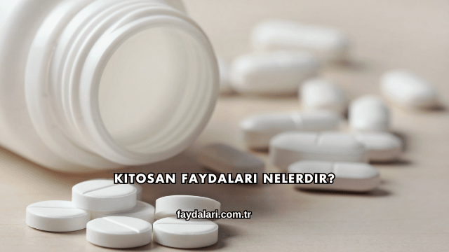Kitosan Faydaları Nelerdir?