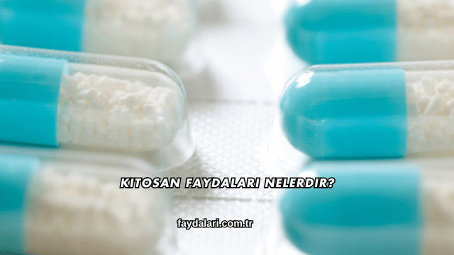 Kitosan Faydaları Nelerdir?