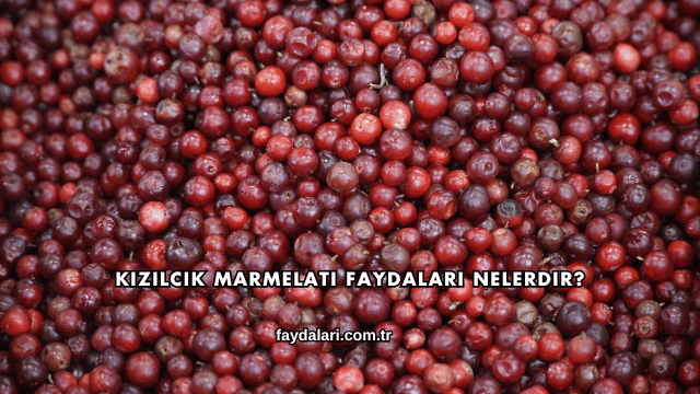 Kızılcık Marmelatı Faydaları Nelerdir?