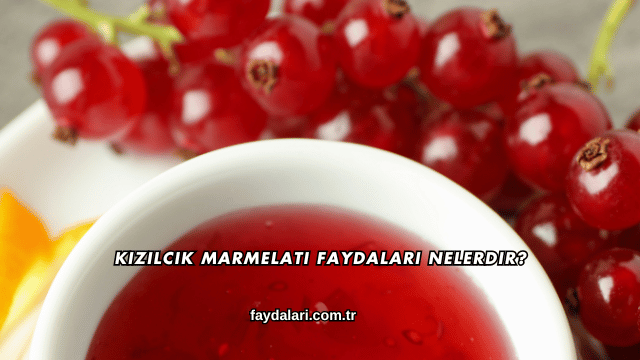 Kızılcık Marmelatı Faydaları Nelerdir?