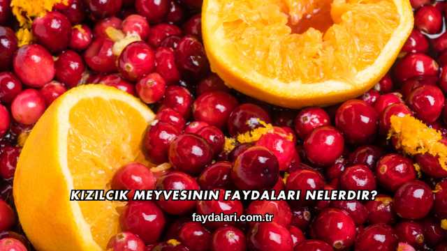 Kızılcık Meyvesinin Faydaları Nelerdir
