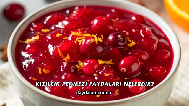 Kızılcık Pekmezi Faydaları Nelerdir?