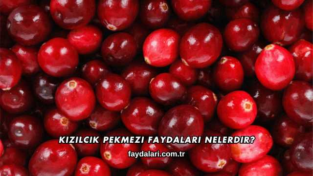 Kızılcık Pekmezi Faydaları Nelerdir?