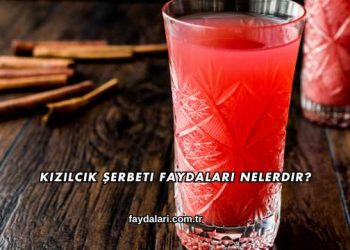 Kızılcık Şerbeti Faydaları Nelerdir?