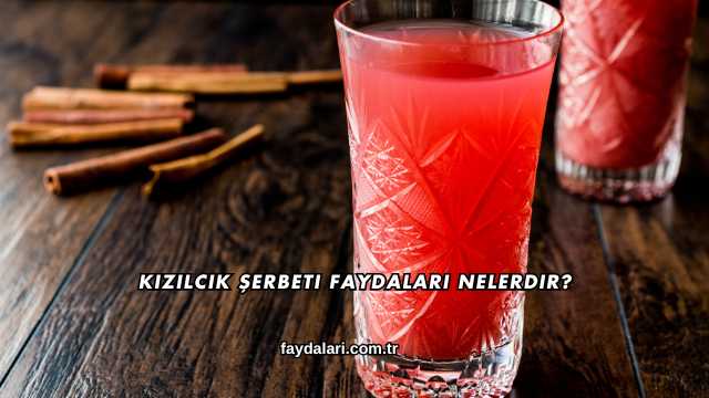 Kızılcık Şerbeti Faydaları Nelerdir?