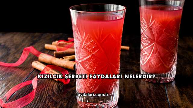 Kızılcık Şerbeti Faydaları Nelerdir?