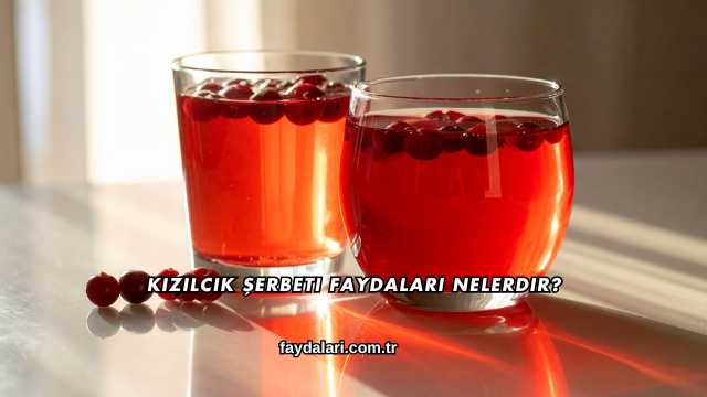 Kızılcık Şerbeti Faydaları Nelerdir?