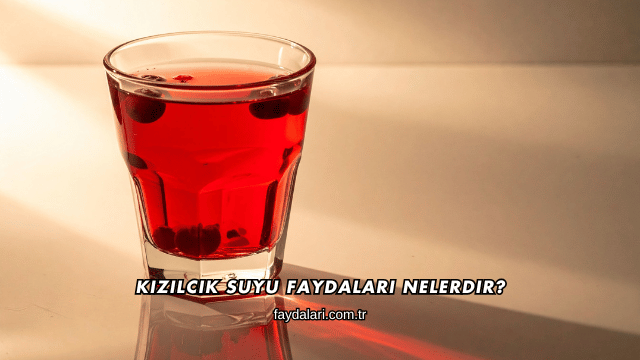 Kızılcık Suyu Faydaları Nelerdir?