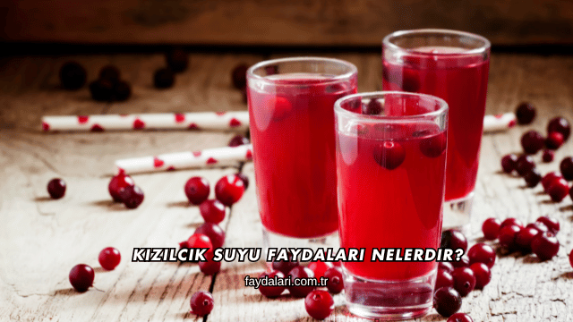 Kızılcık Suyu Faydaları Nelerdir?